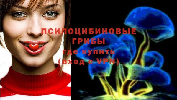 apvp Белокуриха