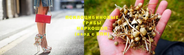 apvp Белокуриха
