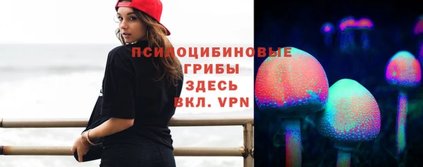 apvp Белокуриха