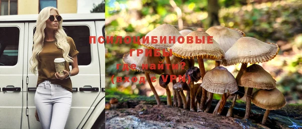 ешки Беломорск